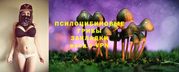 молекула духа Алексин