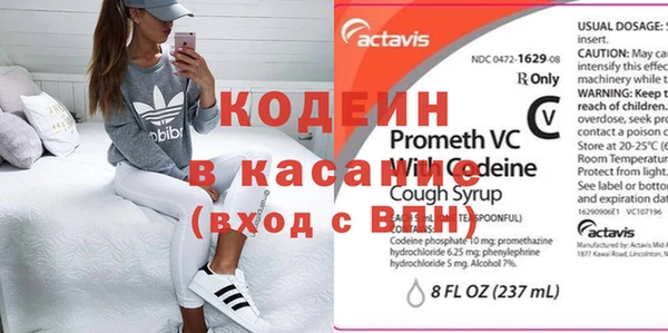 прущие грибы Алзамай