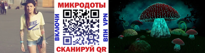 omg как зайти  Курганинск  Псилоцибиновые грибы Psilocybine cubensis 
