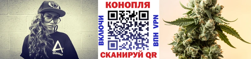 Шишки марихуана MAZAR  hydra онион  Курганинск  где купить наркоту 